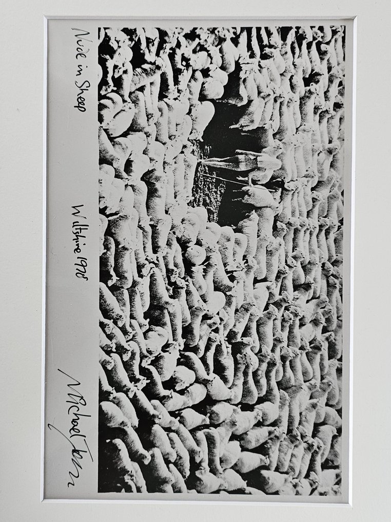 Michael Joseph (1941-) - Nude in sheep, small darkroom print by the photographer #1.0