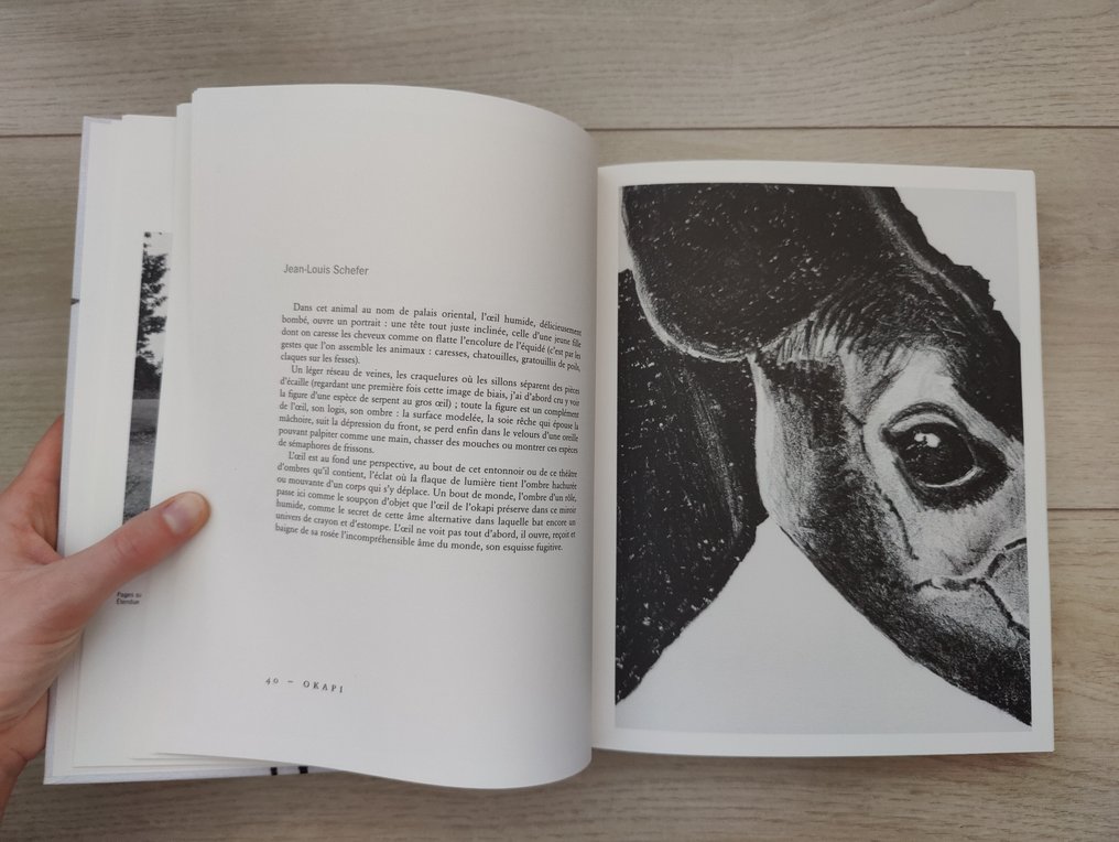 Gilles Aillaud - D'après nature: Encyclopédie de tous les animaux, y compris les minéraux - 2010 #4.3