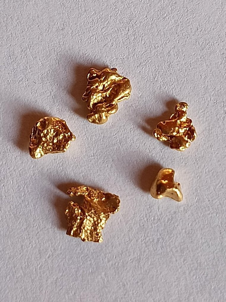 Oro Pepita- 0.52 g - (1) #1.0