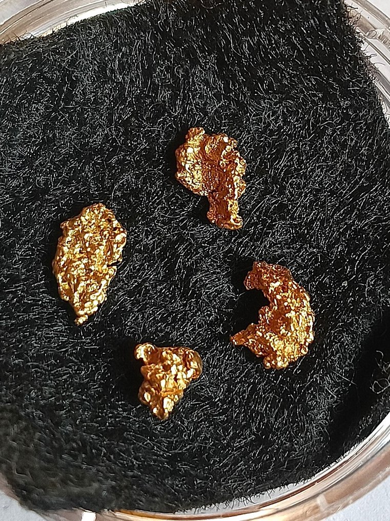 Oro Pepita- 0.53 g - (1) #3.2