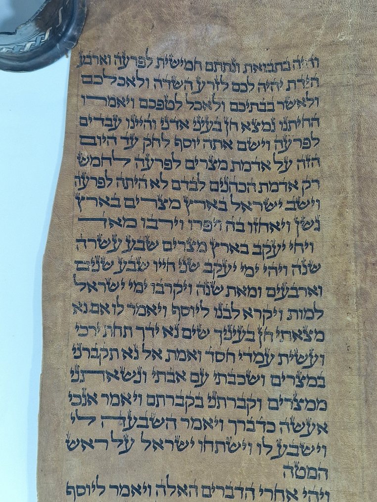 antique Torah scroll, a handwritten on leather - 1800 #4.3