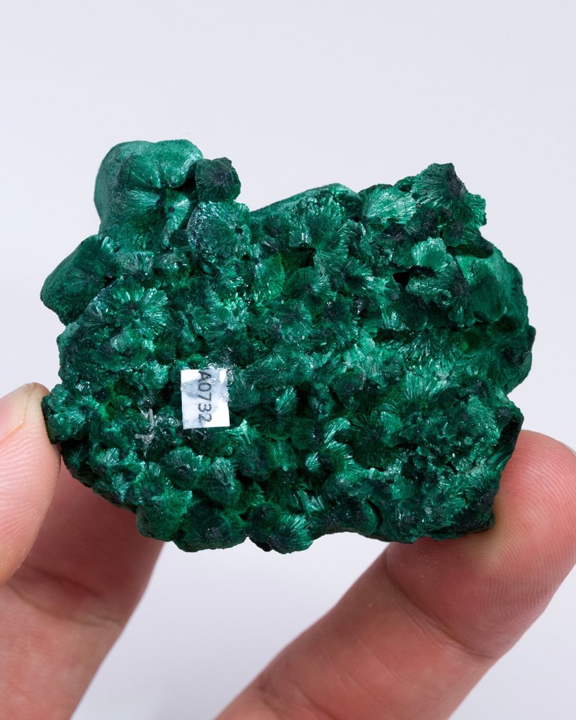 Piatto di malachite stalattitica con Chantilly - Altezza: 2.4 cm - Larghezza: 5.2 cm- 79 g - (1) #4.3