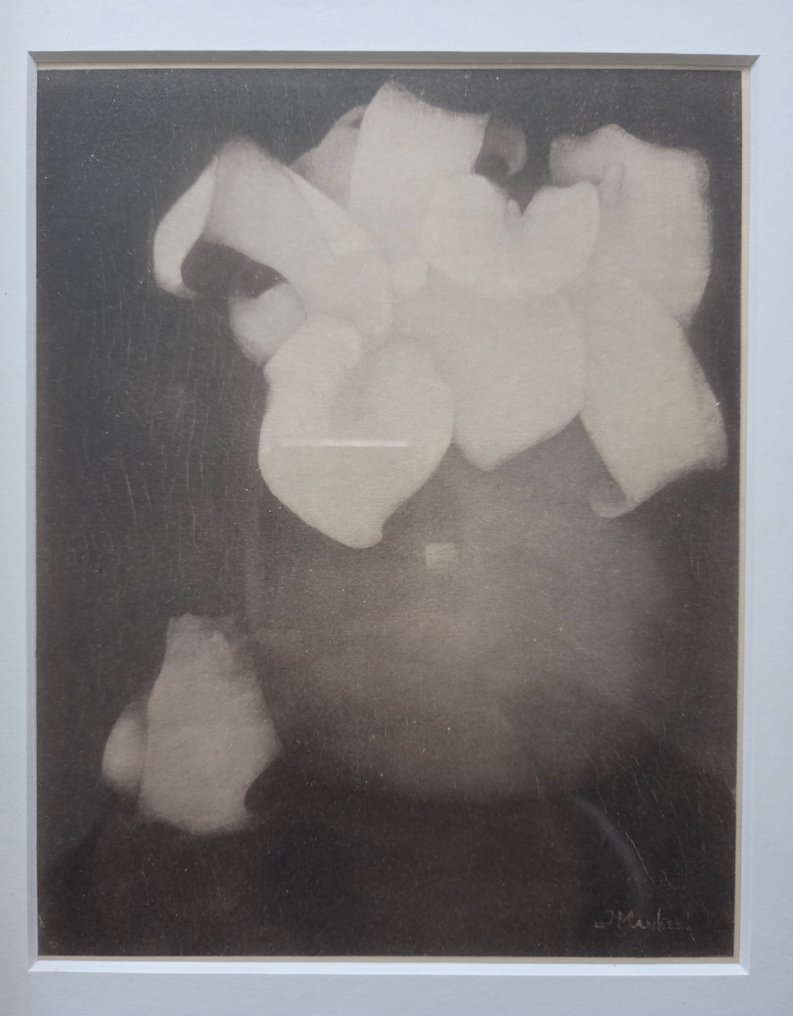 Jan Mankes (1889-1920) - Aronskelken. Naar werk uit 1911. #1.0