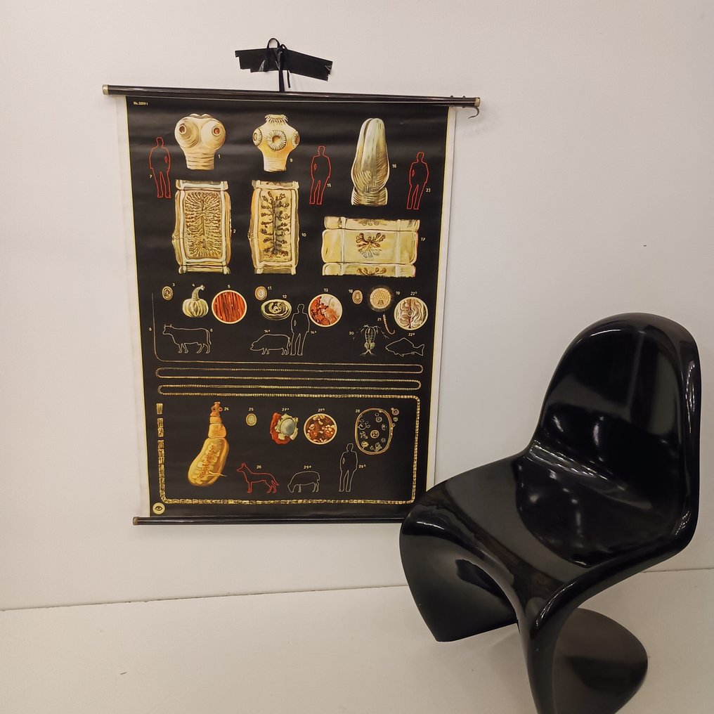 Deutsches Hygiene Museum Dresden - Anatominen seinäkartta - Koulun kartta - 2019 suolistobakteerit - Kangas #1.0