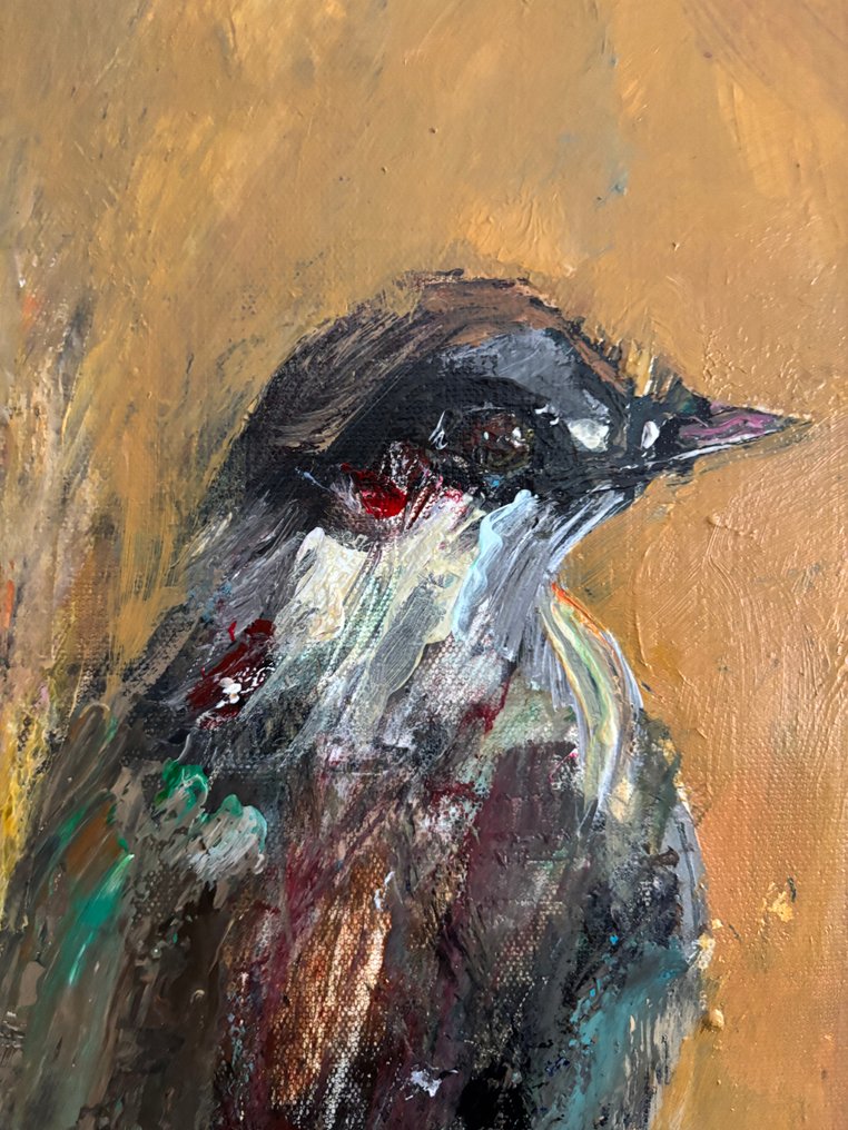 GREG● (1970, Spain) - FREE  - XL - NO RESERVE #4.3