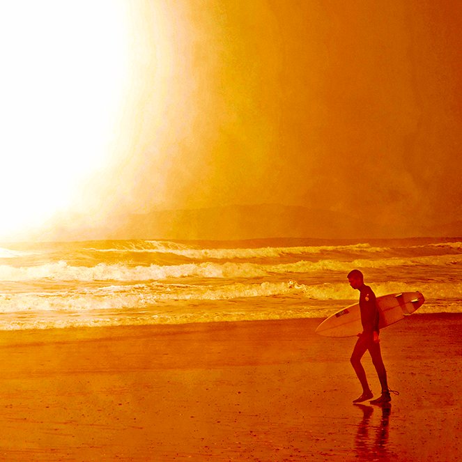 Roberto Cavalli - Into the wild / #528 #1.0