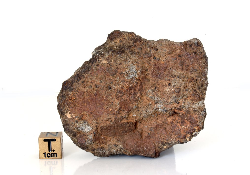 Ένα όμορφο κομμάτι του φεγγαριού με λίγη γεύση από συγχώνευση. NWA 17700 φεγγαρινο μετεωρίτη (θραυστόλιθος τήγματος breccia) - 110 g - (1) #1.0