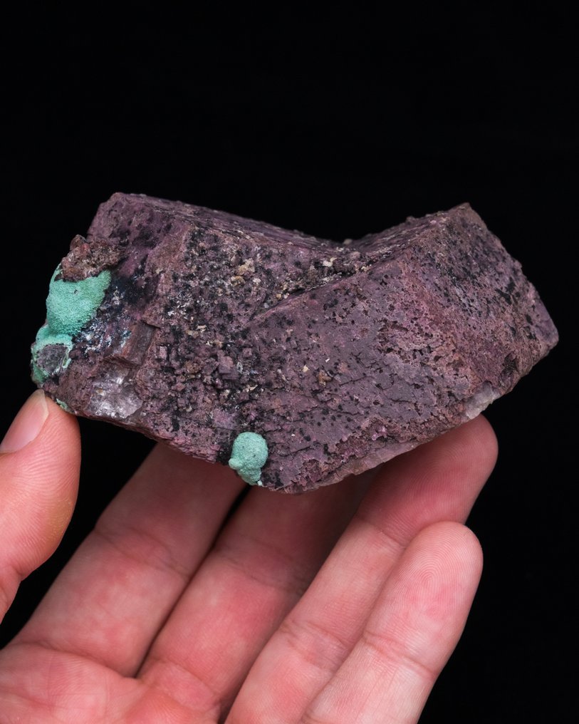 罕见的钴方解石浮石 与异质矿和孔雀石 - 高度: 7.3 cm - 闊度: 8.6 cm- 207.34 g - (1) #1.0