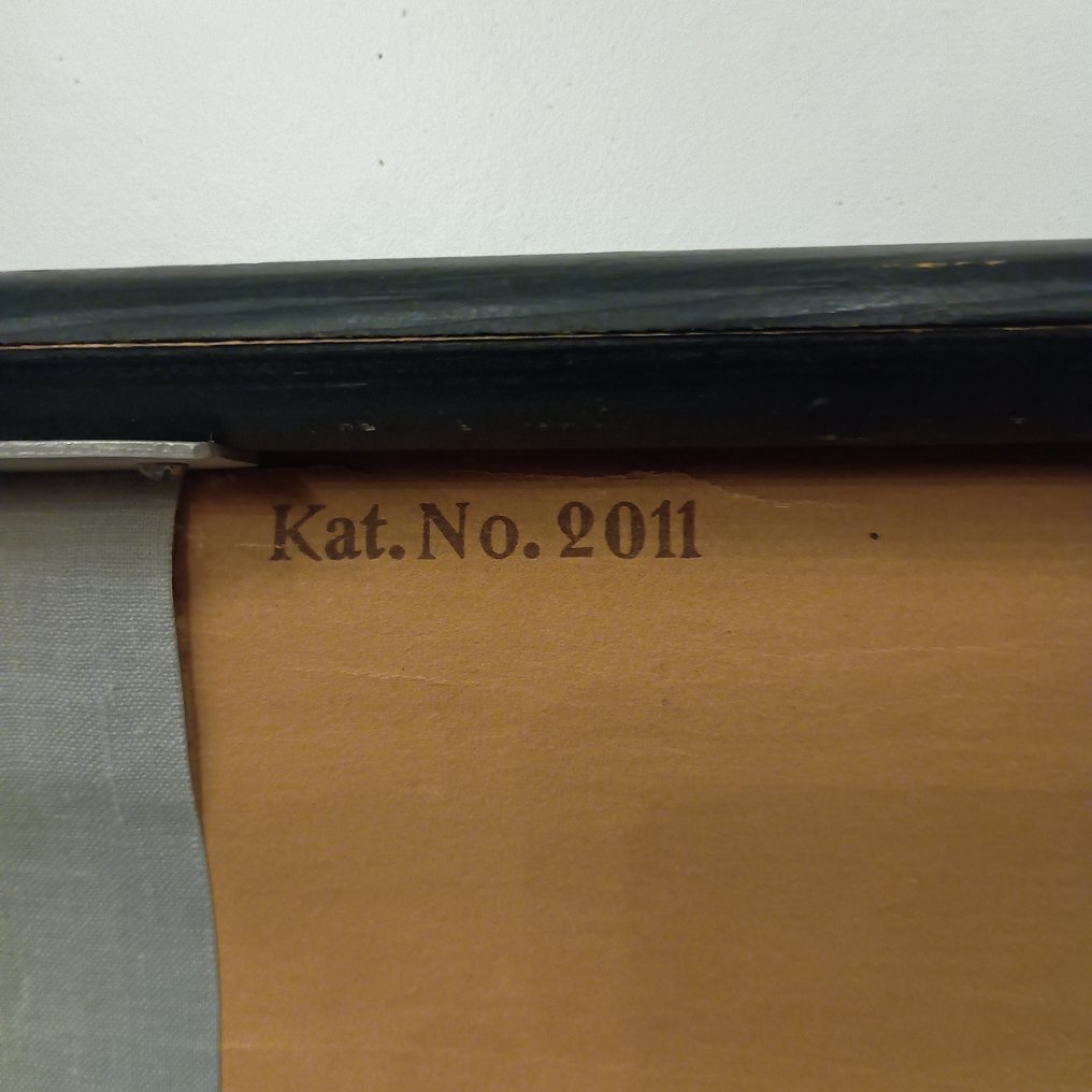 Deutsches Hygiene Museum Dresden - Anatomiczna mapa ścienna - Mapa szkolna - 2011 'het oor' - Płótno #2.1