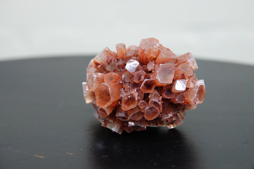 aragoniet roos Täytetyn eläimen koko kehon jalusta - cluster - 6 cm - 5 cm - 4 cm - 1 #1.0