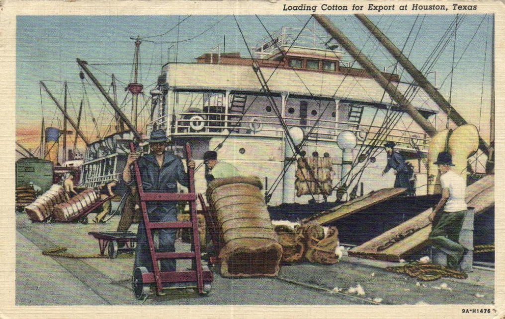 美国 - 多样的地点和景点——来自不同地区,展现有趣的风景。 - 明信片 (100) - 1900-1940 #1.0