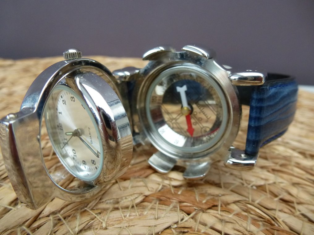 Open - Reverso Compass Explorer - Reverso Boussole - 沒有保留價 - Total Greenland " Silver Dial " - 男士 - 2020+ #3.2