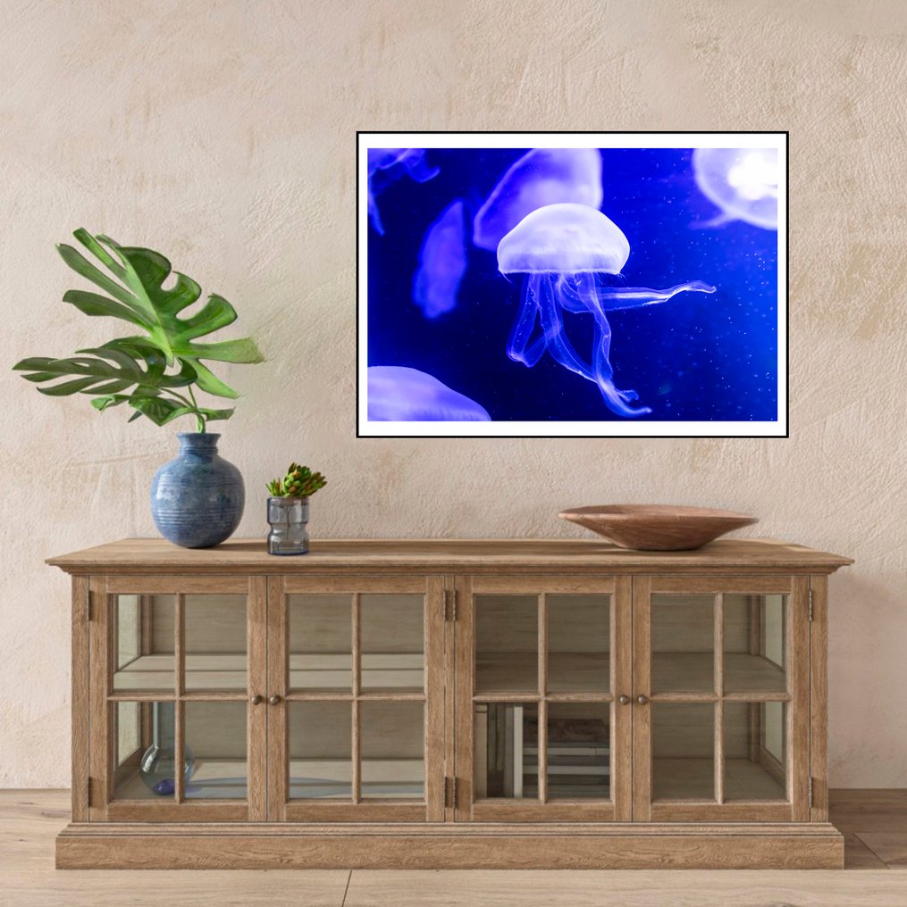 Roberto Cavalli - Jellyfish, In the blue / #723 #3.2