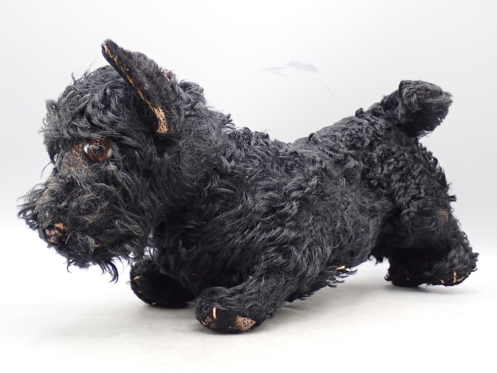 Steiff - 毛绒动物 Terrier - 1950-1960 - 德国 #1.0