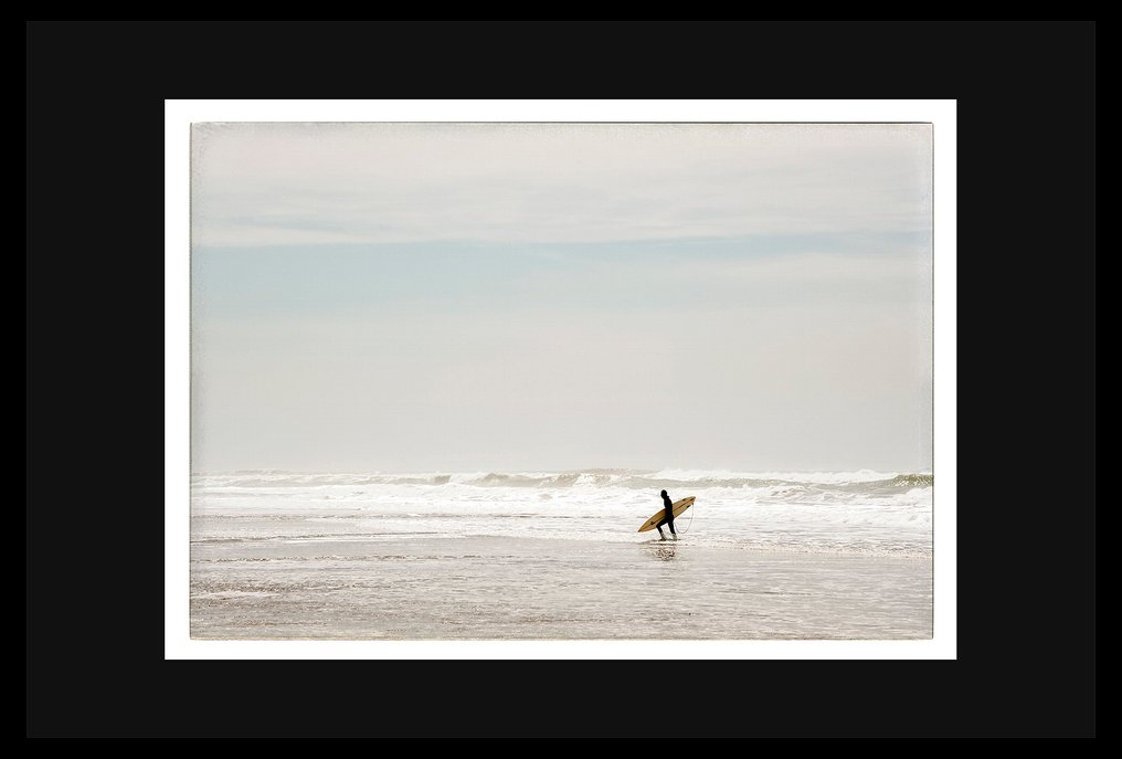 Roberto Cavalli - Into the wild / #382 #3.2