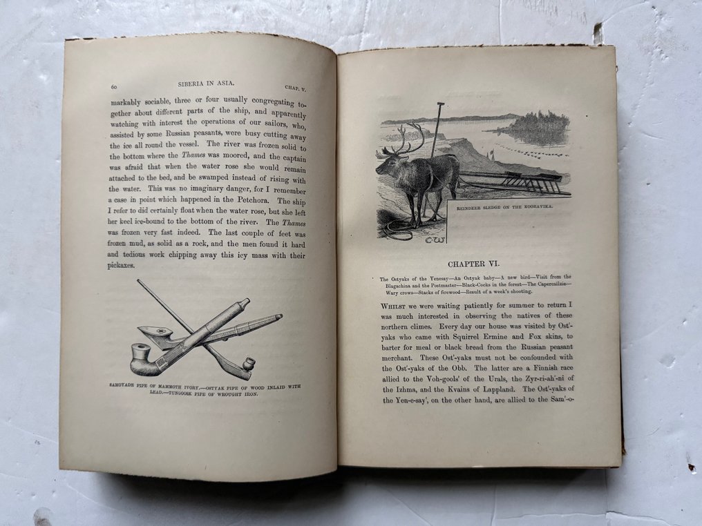 Henry Seebohm - Siberia in Asia - 1882 #4.3