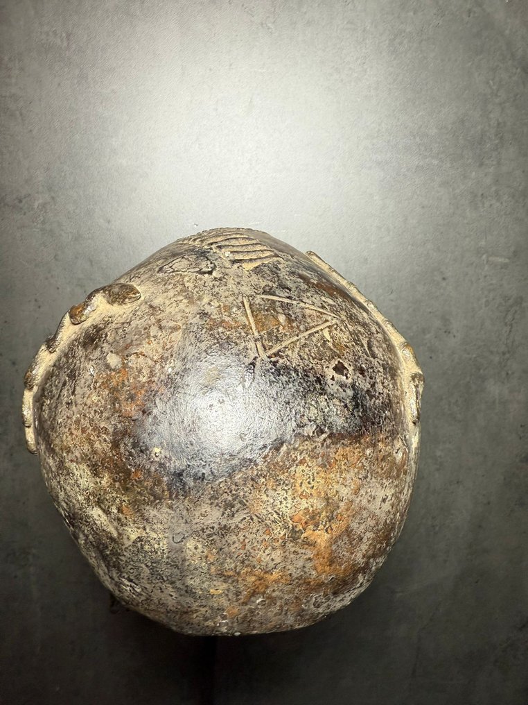 头骨 - Igbo - 尼日利亚 (没有保留价) #3.2