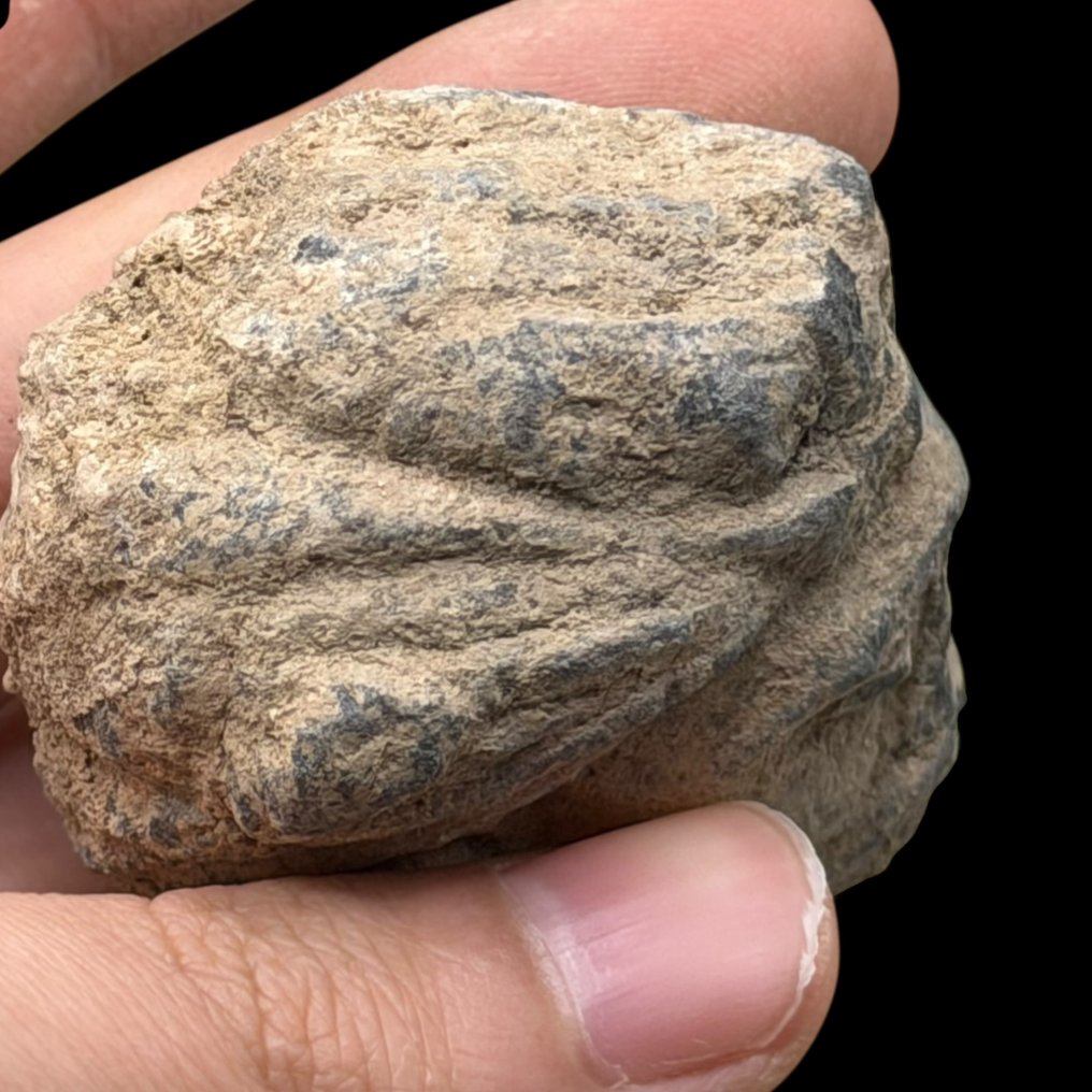 健驮逻国 石头 塑像 - 4 cm  (没有保留价) #4.3