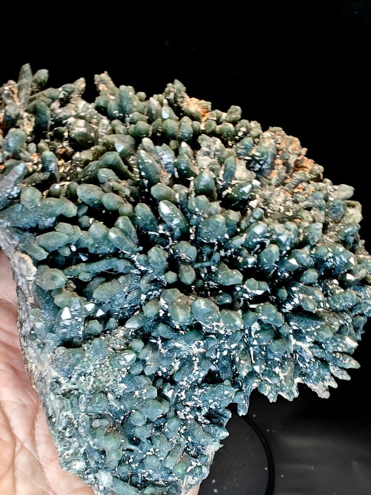 Prasio Quartz on Hedembergite Museum Sample Crystals - Height: 13 cm - Width: 10 cm- 897 g #2.1