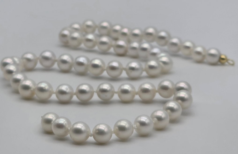 没有保留价 - 项链 - 18K包金 黄金 珍珠 - Perle akoya,尺寸为7到7.2毫米 #1.0