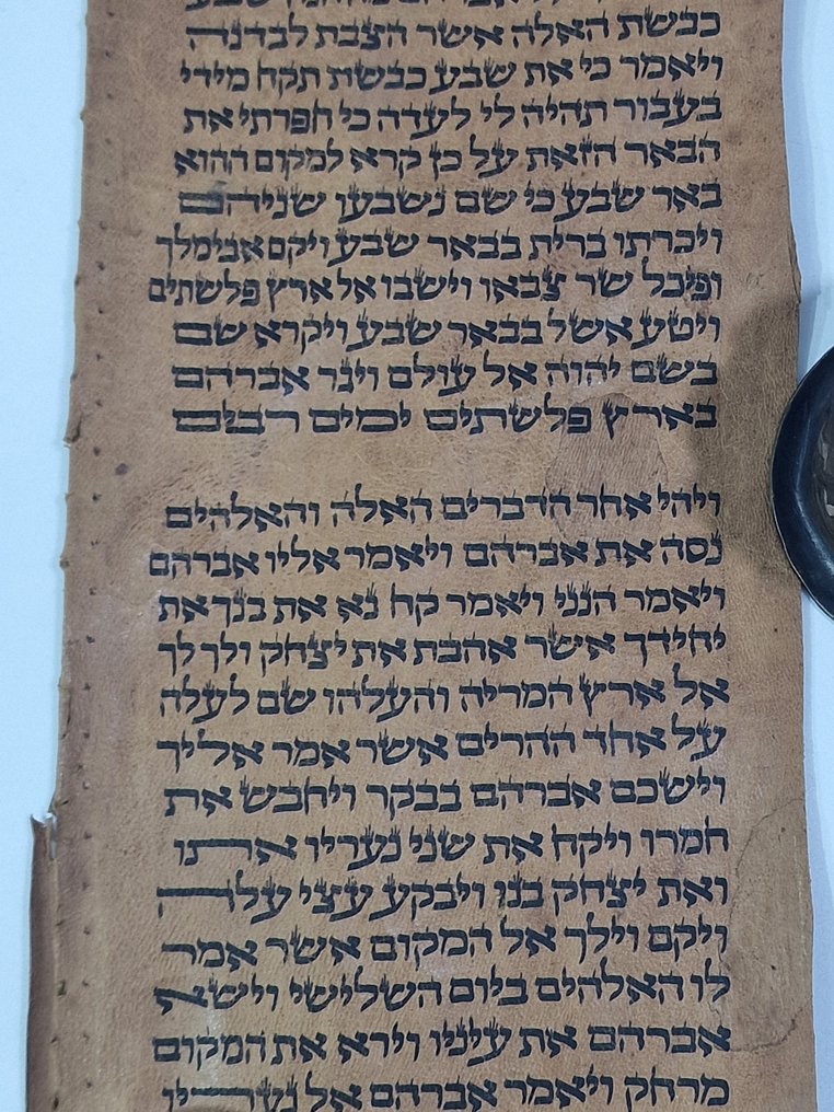 antique Torah scroll, a handwritten on leather - 1800 #3.2