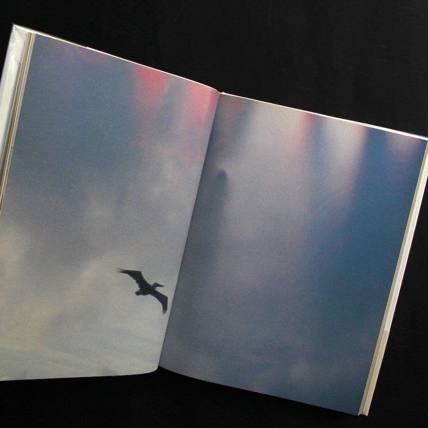 Mark Borthwick - The Heart Land - 2010 #2.1