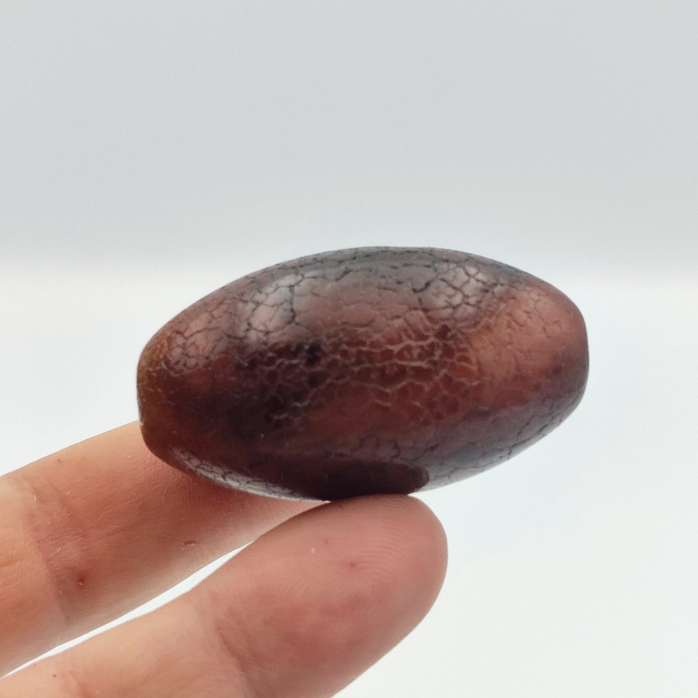 古藏语/尼泊尔语 古老的玻璃 佛眼珠子护符 - 45 mm #1.0