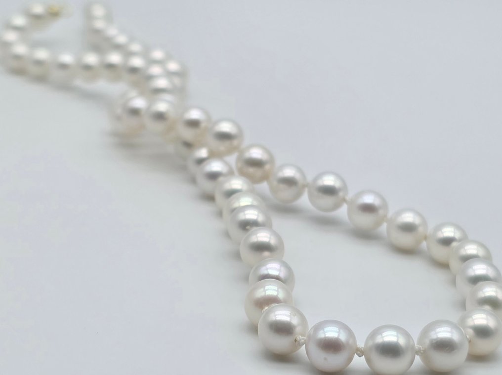 没有保留价 - 项链 - 18K包金 黄金 珍珠 - Perle akoya,尺寸为7到7.2毫米 #2.1