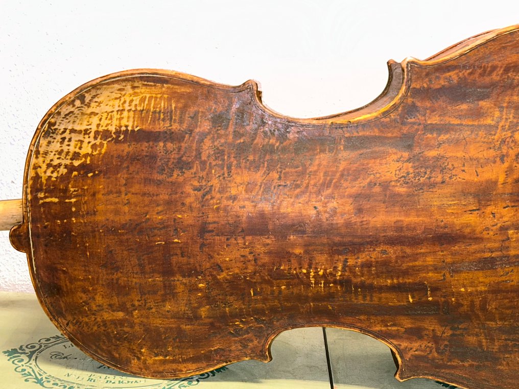 Labelled Stefano Scarampella -  - Cello - Unknown  (No reserve price) #3.2
