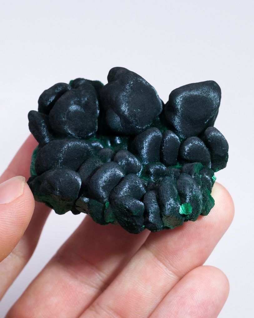 Piatto di malachite stalattitica con Chantilly - Altezza: 2.4 cm - Larghezza: 5.2 cm- 79 g - (1) #1.0