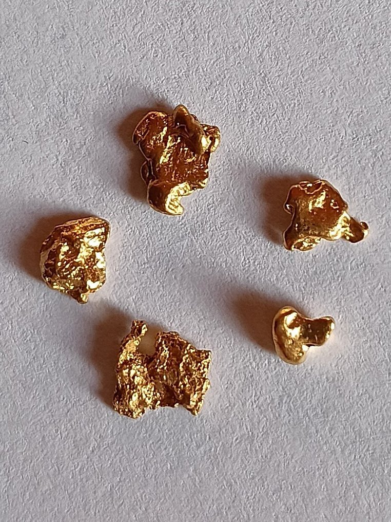Oro Pepita- 0.52 g - (1) #2.1