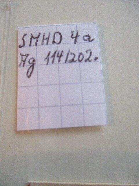 RDT 1972/1984 - Foglietto di francobolli speciale 3-16 - fresco di stampa - SMHD 3 bis 16 #4.3