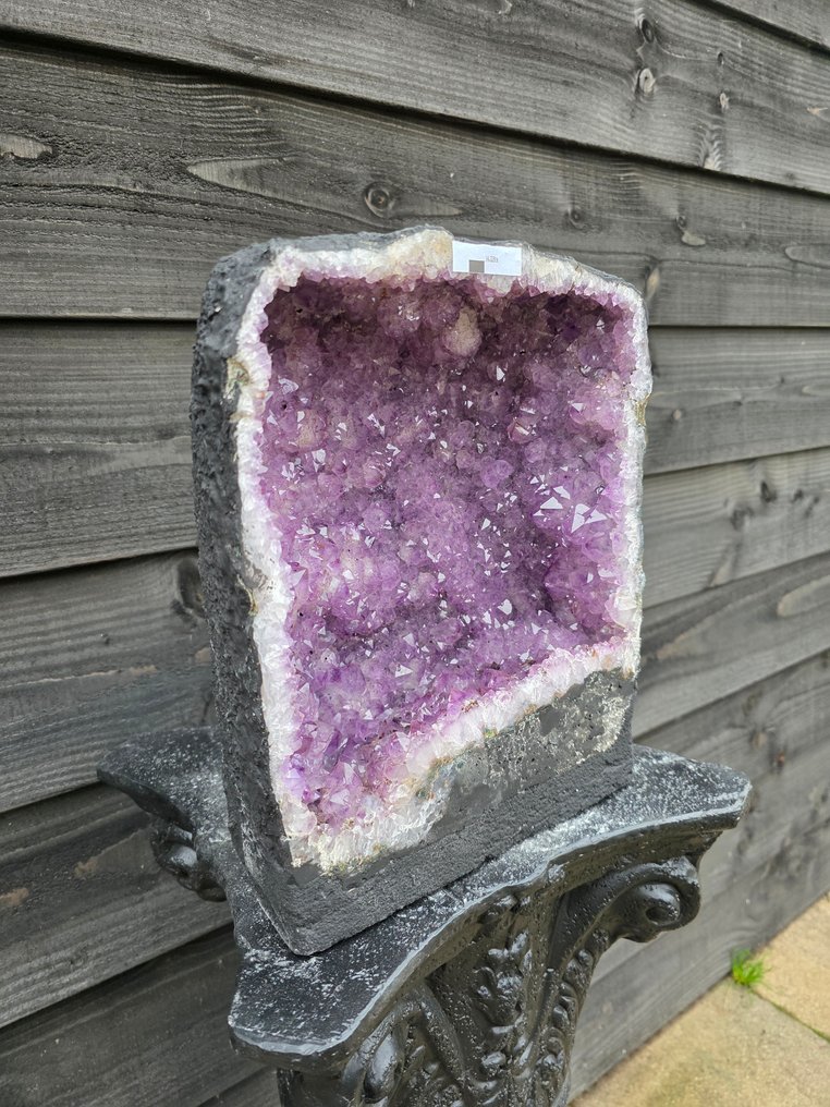 无保留 € - 特大号紫水晶簇 紫水晶 - 高度: 31 cm - 宽度: 24.5 cm- 14.32 kg #3.2
