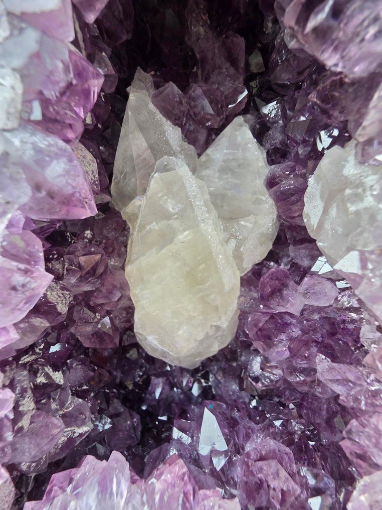 Brak rezerwacji € - Amethyst Geode - Wysokość: 21 cm - Szerokość: 15 cm- 4.66 kg #2.1