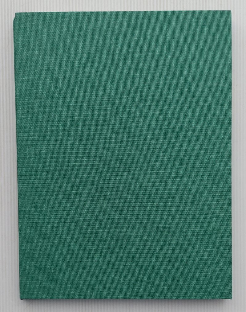 Gilles de geus 0 - De struikrover - serie Bois Le Duc - 1 Album - 2002 #1.0