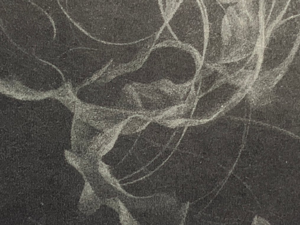 Waltz - Riko Maeshiro - Japan #2.1