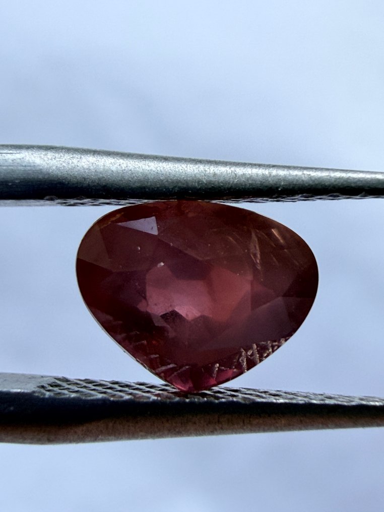 紅色, 粉色 紅寶石  - 1.52 ct - Antwerp Laboratory for Gemstone Testing (ALGT) - 浓烈的粉红红色 #3.2