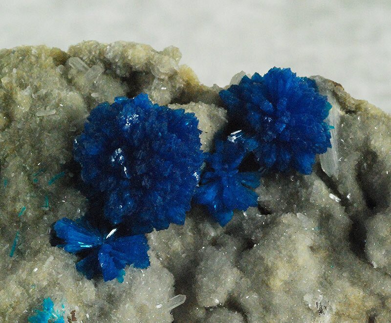 Cavansite Crystals on matrix - Height: 67 mm - Width: 47 mm- 85 g #1.0
