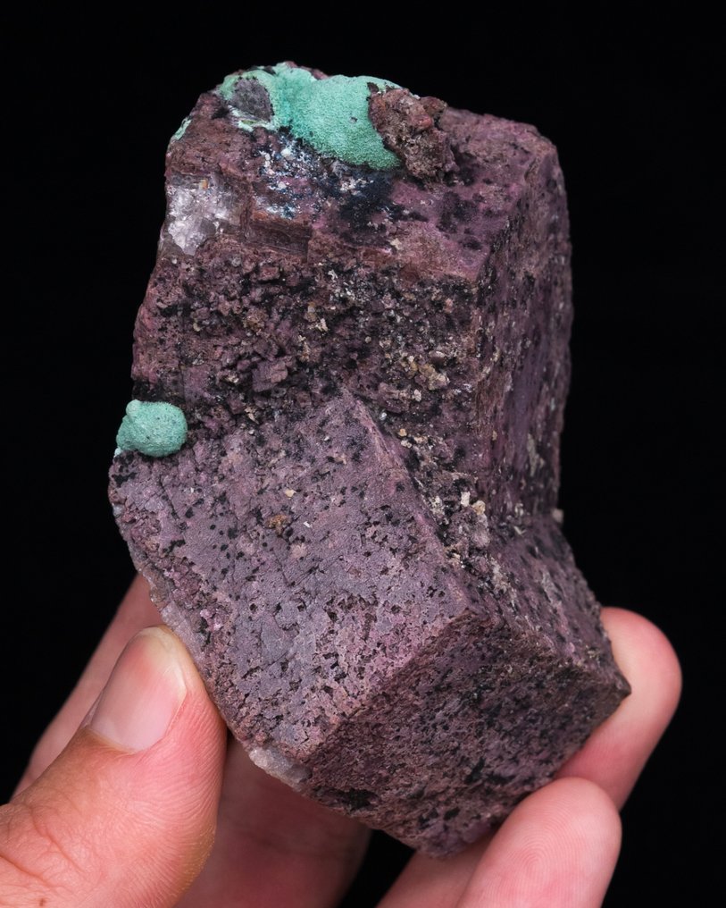 罕见的钴方解石浮石 与异质矿和孔雀石 - 高度: 7.3 cm - 闊度: 8.6 cm- 207.34 g - (1) #4.3