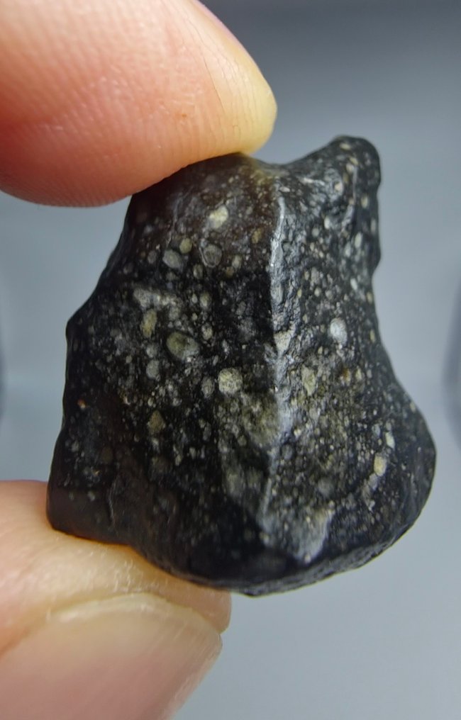 Meteoriet NWA 13518. Rumuruti R 4-5. Zeldzaam, geen minimumprijs. - 8.09 g - (1) #1.0