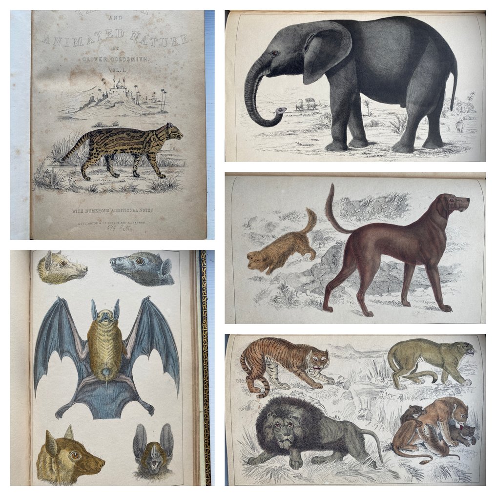 Oliver Goldsmith - A History of the Earth and Animated {with 32 colour plates}. - 1854 #1.0