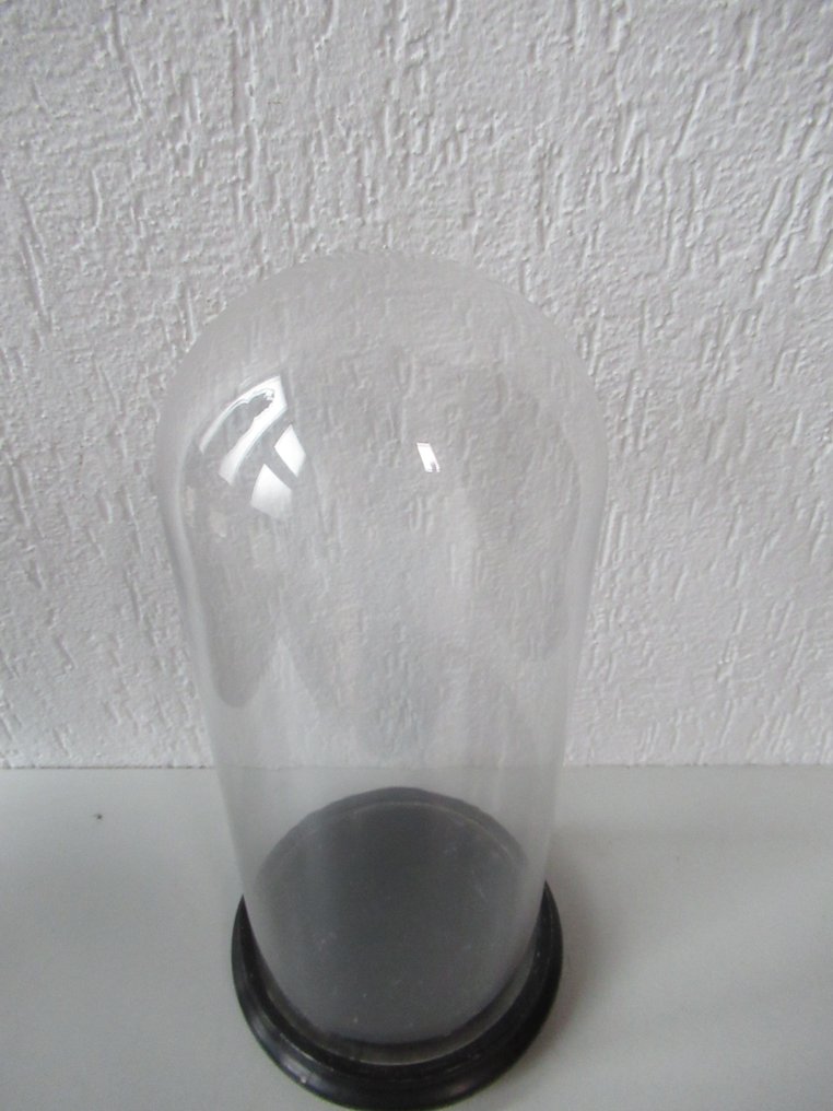 Klokkekrukke - Glas og træ - 1900-1910 #1.0