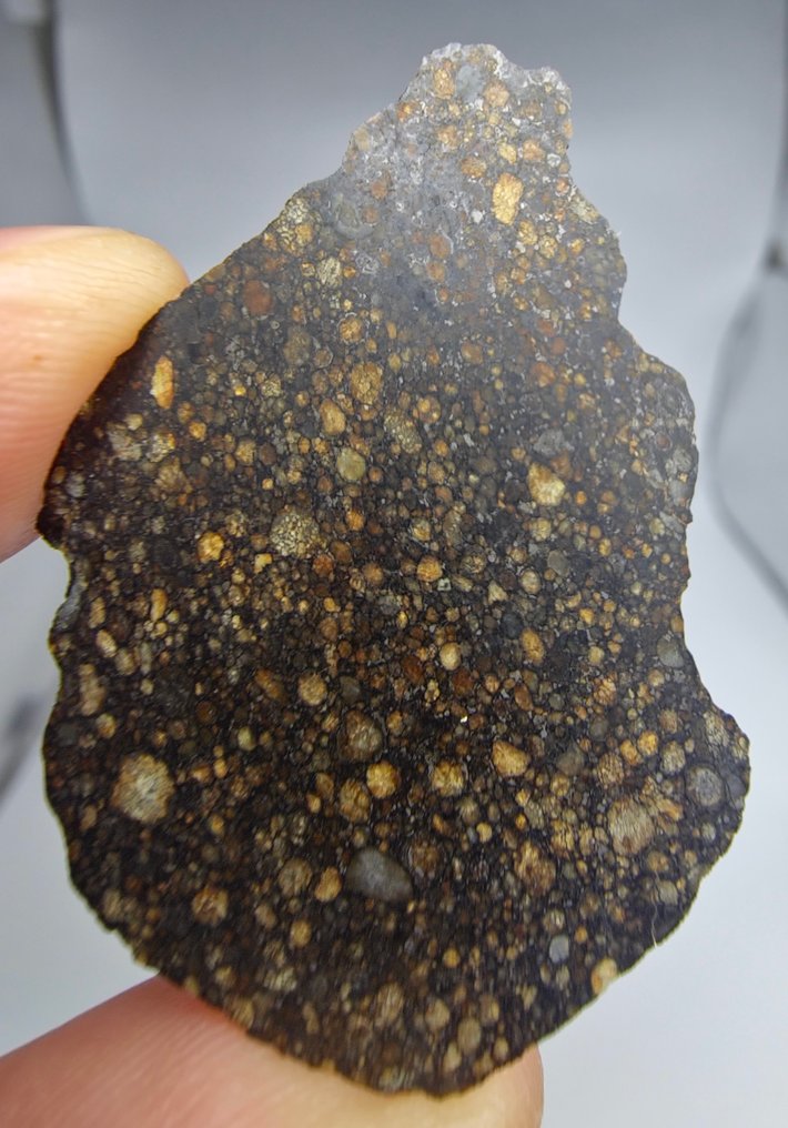 Meteorite. LL3 type. NWA 17583, Ordinary Chondrite. - 13.1 g #1.0