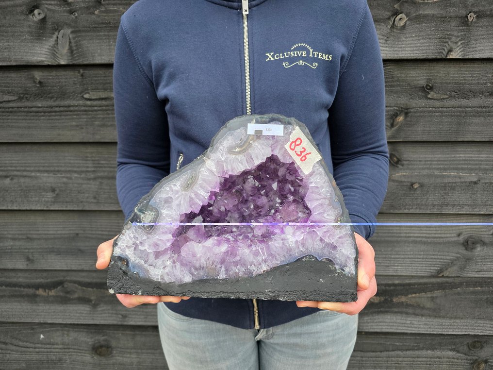 无底价 紫水晶晶簇 紫水晶 - 高度: 20.5 cm - 闊度: 27.5 cm- 8.36 kg #1.0