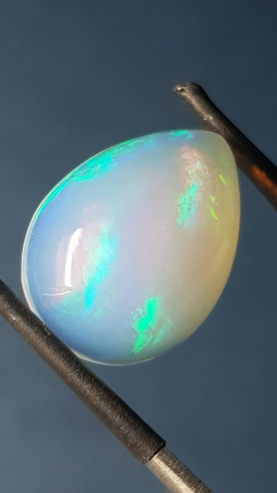 1 pcs  Πολύχρωμο Οπάλιο  - 6.22 ct - Antwerp Laboratory for Gemstone Testing (ALGT) - Έντονο παιχνίδι χρωμάτων #2.1