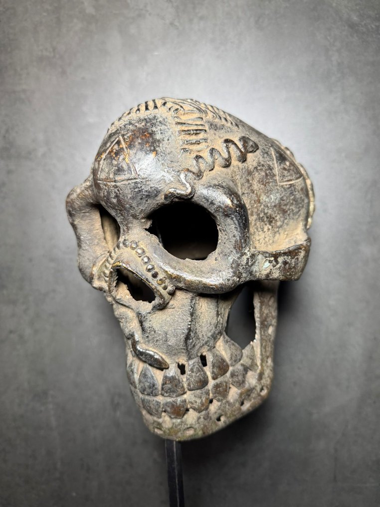 头骨 - Igbo - 尼日利亚 (没有保留价) #1.0