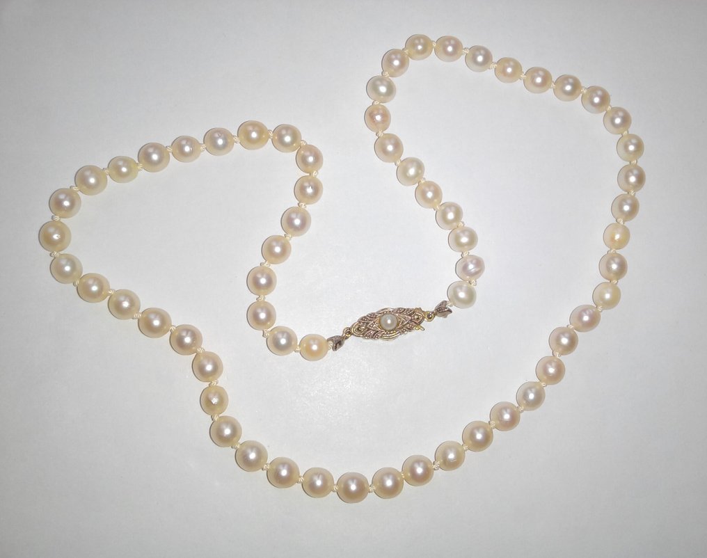 Zonder minimumprijs - Halsketting 14 kt witgoud - Zuchtperlen - Millegriffes #1.0