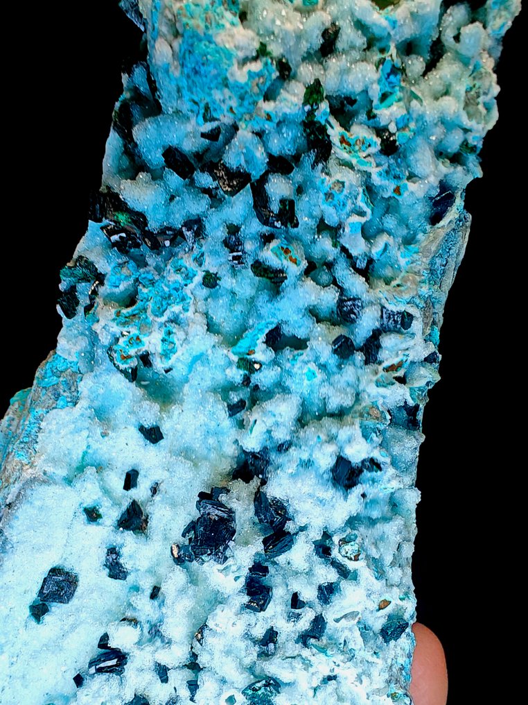 NEW FIND! Unique! Large malachite crystals on covered by druzy quartz with crisocolla. - Height: 14 cm - Width: 7 cm- 530 g #1.0