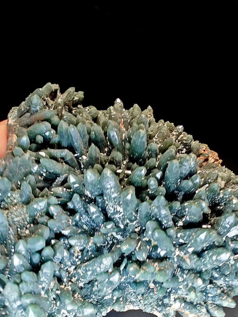 Prasio Quartz on Hedembergite Museum Sample Crystals - Height: 13 cm - Width: 10 cm- 897 g #3.2