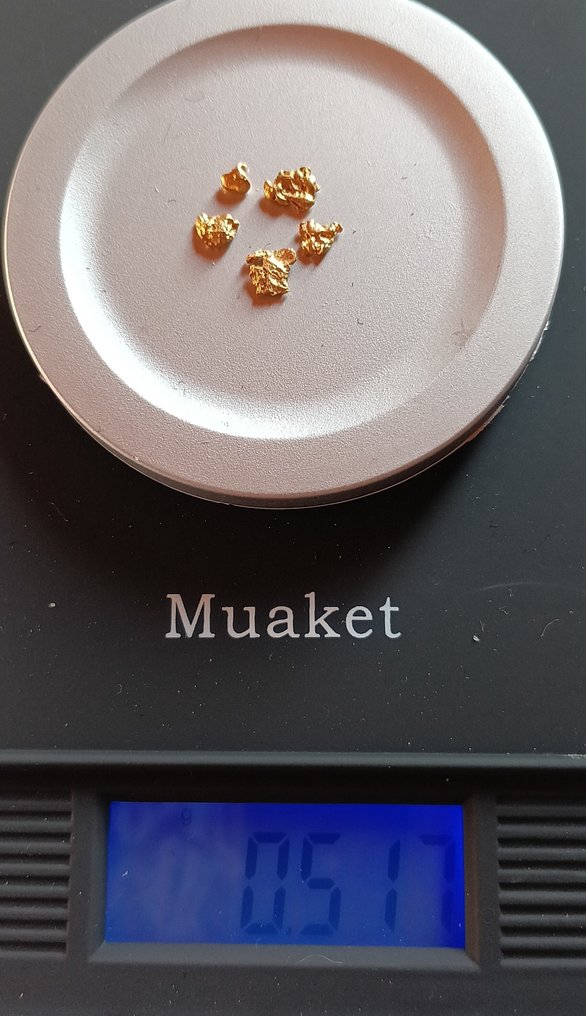 Oro Pepita- 0.52 g - (1) #1.0